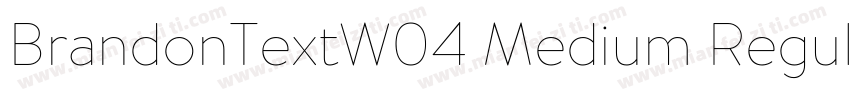 BrandonTextW04 Medium Regular字体转换